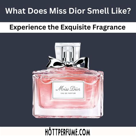 miss dior old scent|what does miss dior perfume smell like.